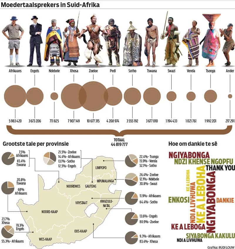 Infographic: mother-tongue speakers in South Africa